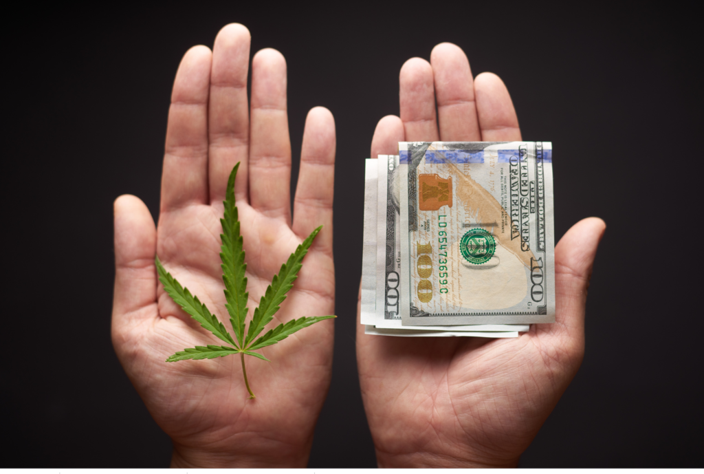 Cost of a California Cannabis License