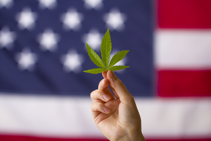 The American Flag and a hand holding cannabis