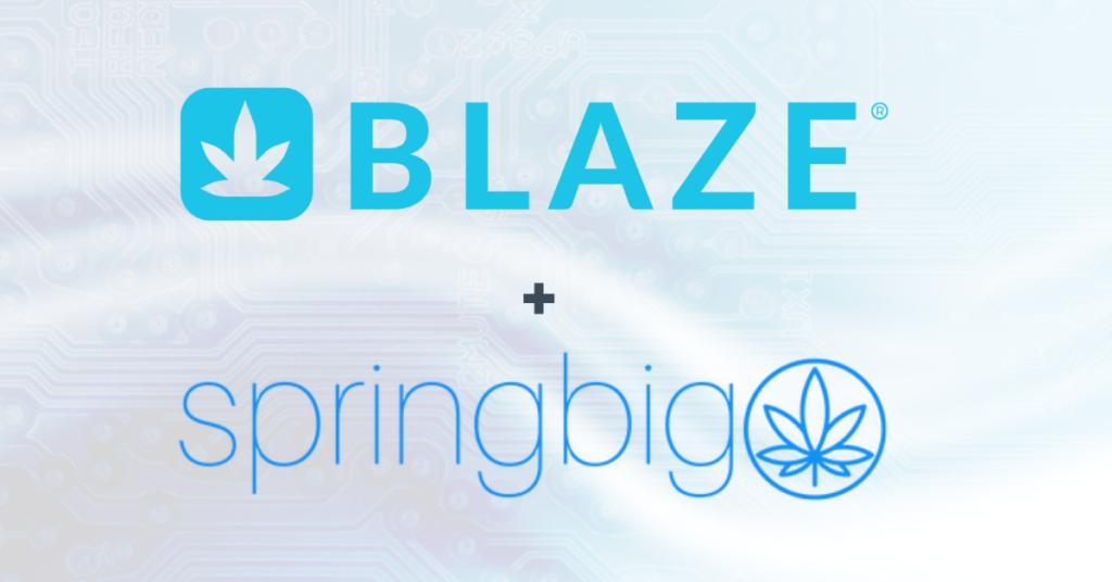 Springbig Integration